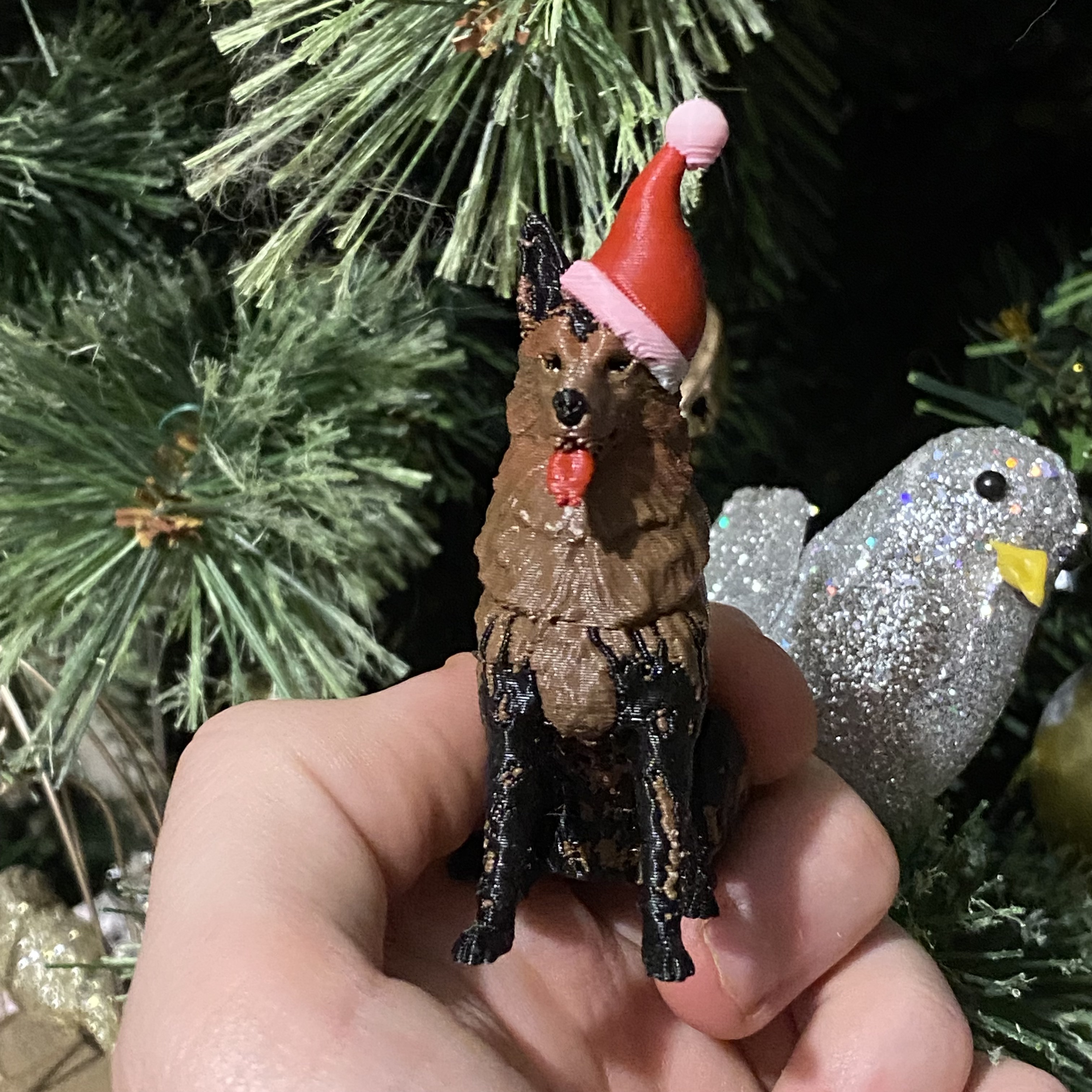 Chó Becgie Đức Đội Mũ Ông Già Noel Mùa Giáng Sinh