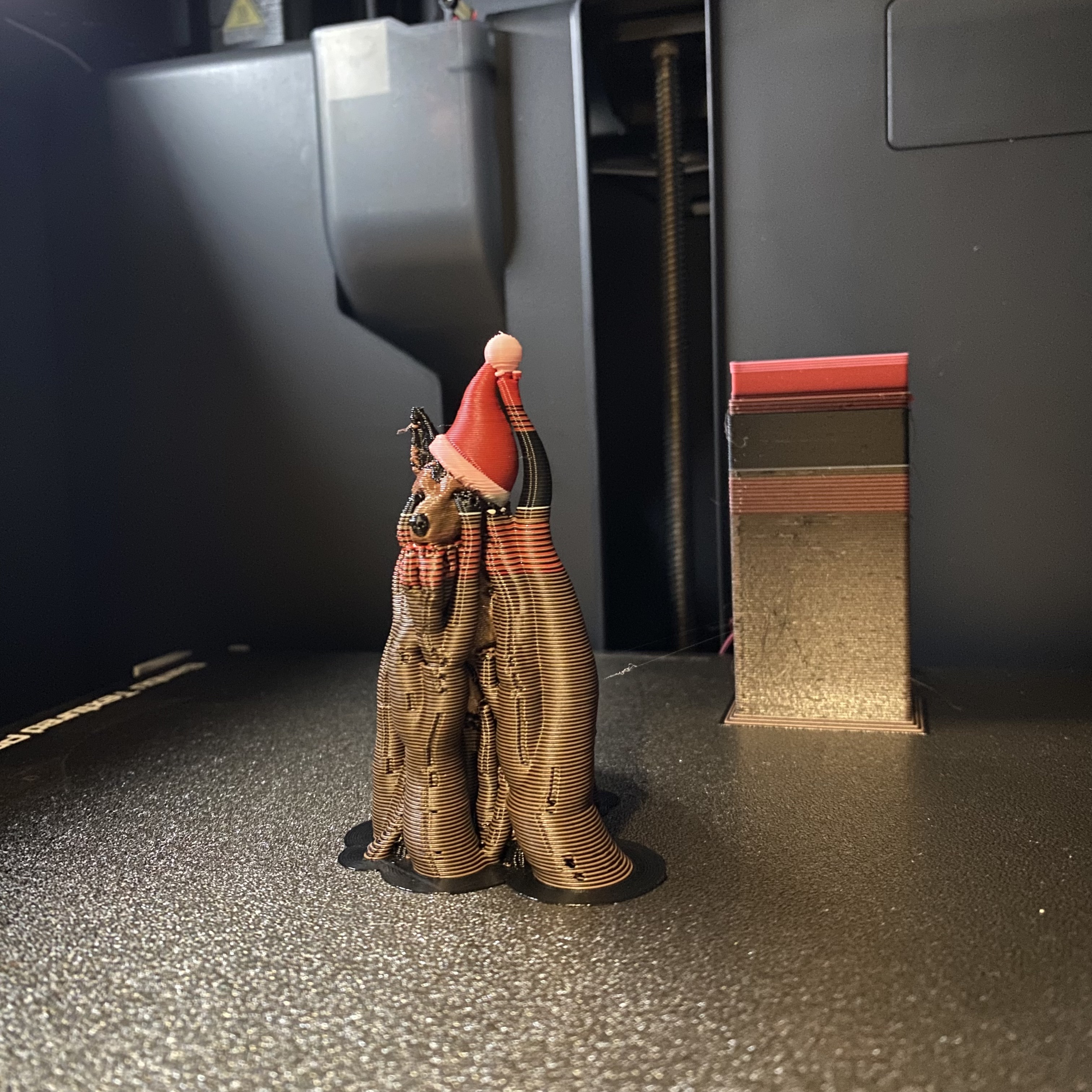 Chó Becgie Đức Đội Mũ Ông Già Noel Mùa Giáng Sinh