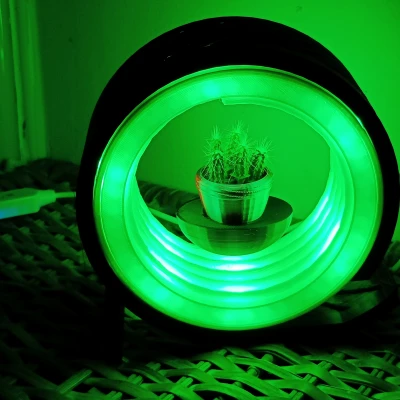 Chậu Sen Đá Treo Tường