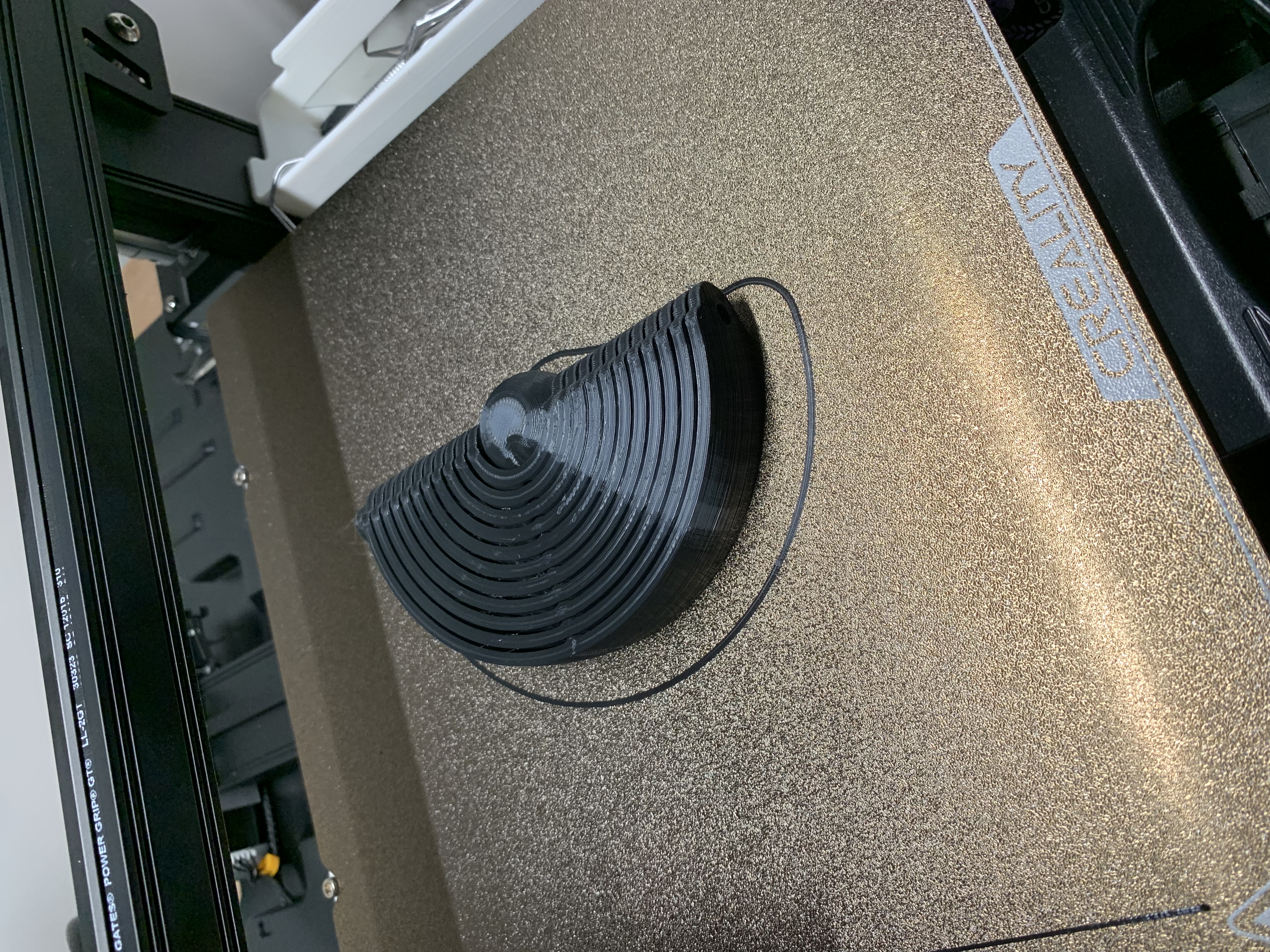 Trái Bóng Vỏ Sò Gấp Gọn - "Đồ Trang Trí Giáng Sinh 2023"