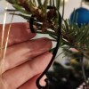 Móc treo đồ trang trí cây thông Noel | Christmas tree ornament hanger - Thumbnail 2