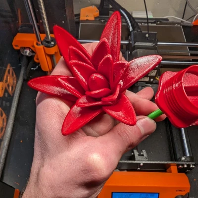 Hộp Đựng Nhẫn Hình Bông Hoa