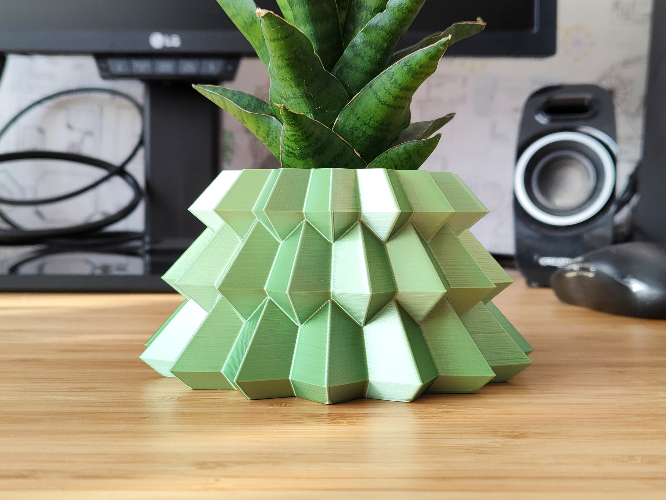 Chậu Cây Thông Noel Kiểu Dáng Geometrical - Chế Độ "Vase Mode"