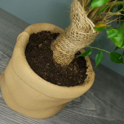 Chậu Trồng Cây Bao Bố