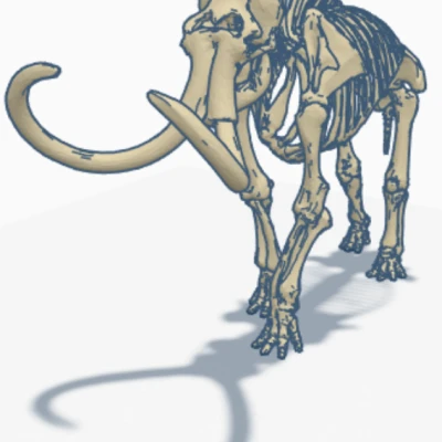 Bộ Xương Cự Đà Lạt