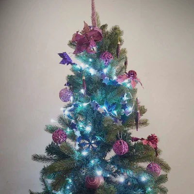 Stellar Festoon - Dây sao trang trí Giáng Sinh độc đáo