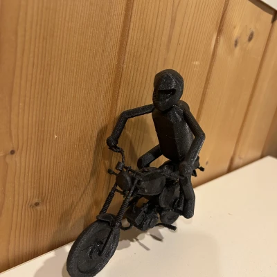 Người lái mô tô