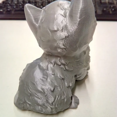 Mô hình 3D: Mèo Con (Kitten)
