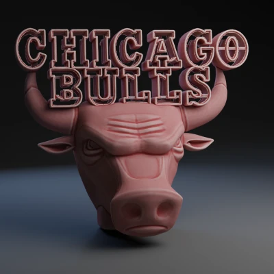 Chicago Bulls