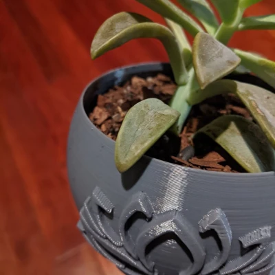 Chậu Trồng Sen Đá Có Đĩa Hứng