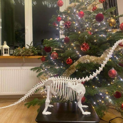 Mô hình Bộ xương Khủng long