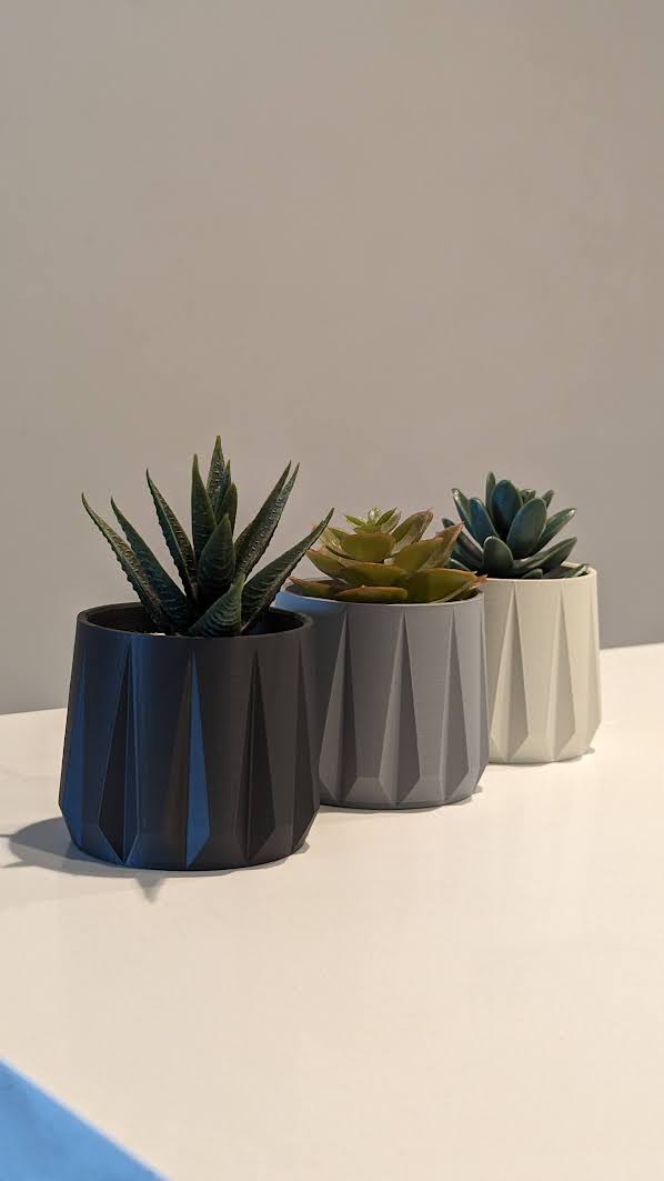 Chậu Trồng Sen Đá Tối Giản - Hình Học