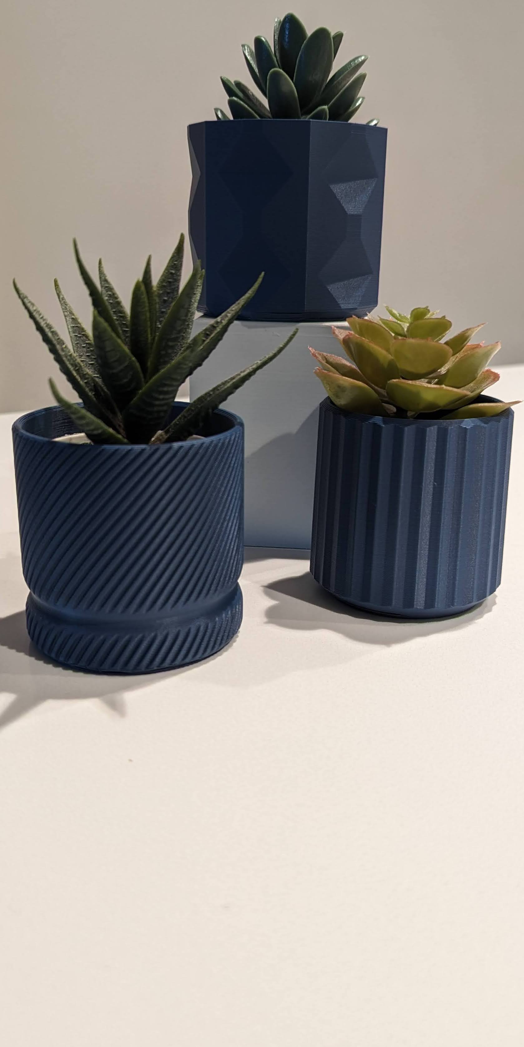 Chậu Trồng Sen Đá Tối Giản - Hình Học