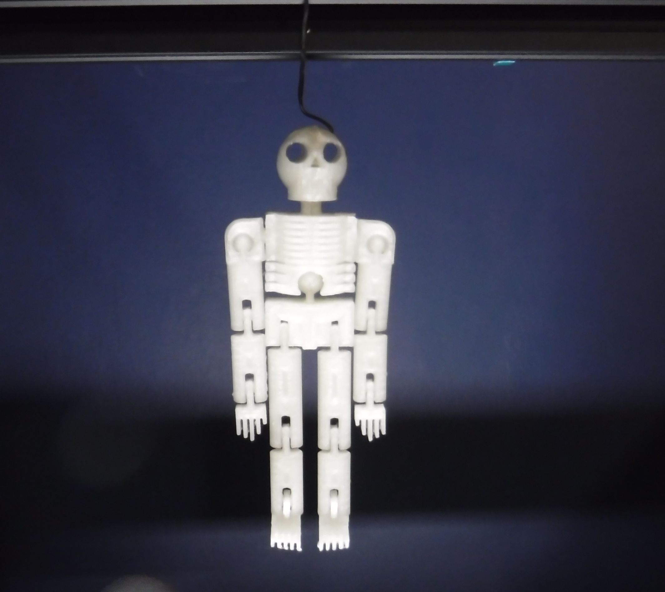 Flexy Skelly - Mô hình bộ xương vui nhộn