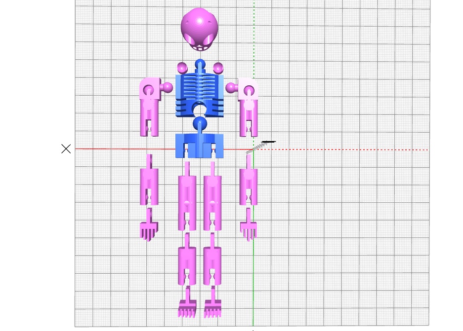 Flexy Skelly - Mô hình bộ xương vui nhộn