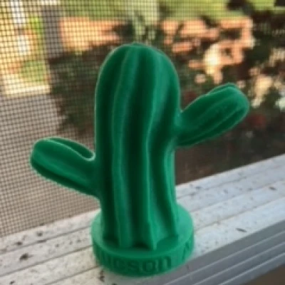 Xương Rồng Saguaro