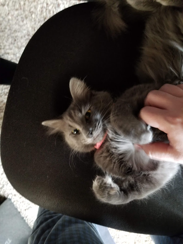 Nắp Chặn Nguồn Chống Mèo Cào Cho Fractal Design Define R7 Có Khóa