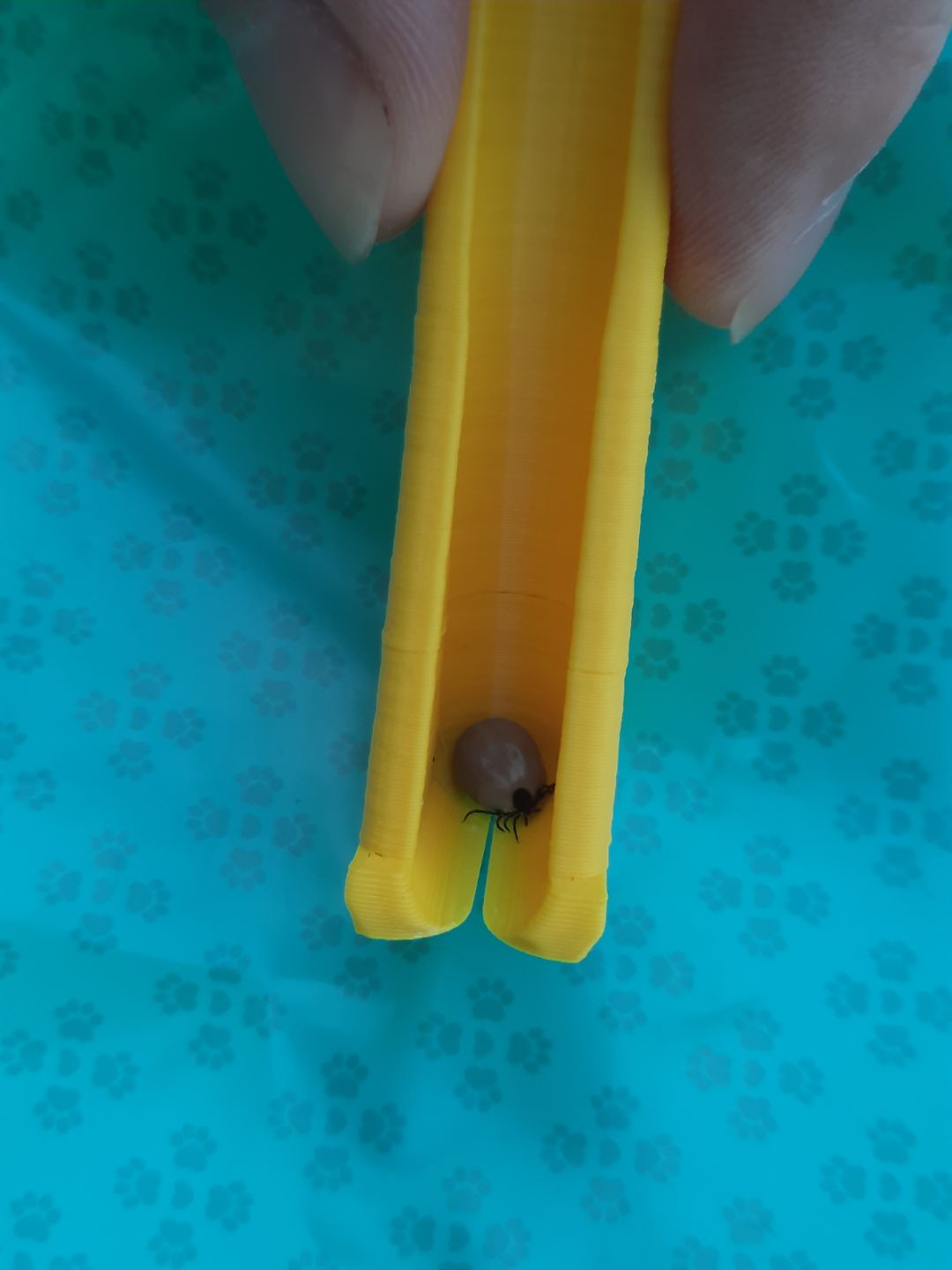 Tiffer - Dụng Cụ Gắp Ve Nam Châm Tủ Lạnh