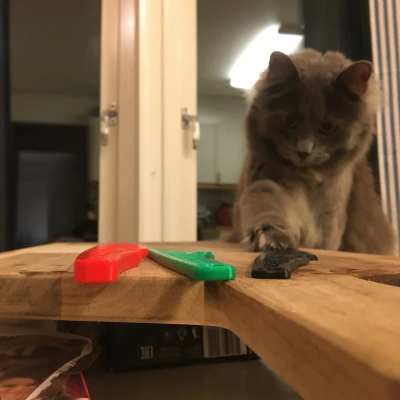 Dao Cắm Trại (Picnic Knife)