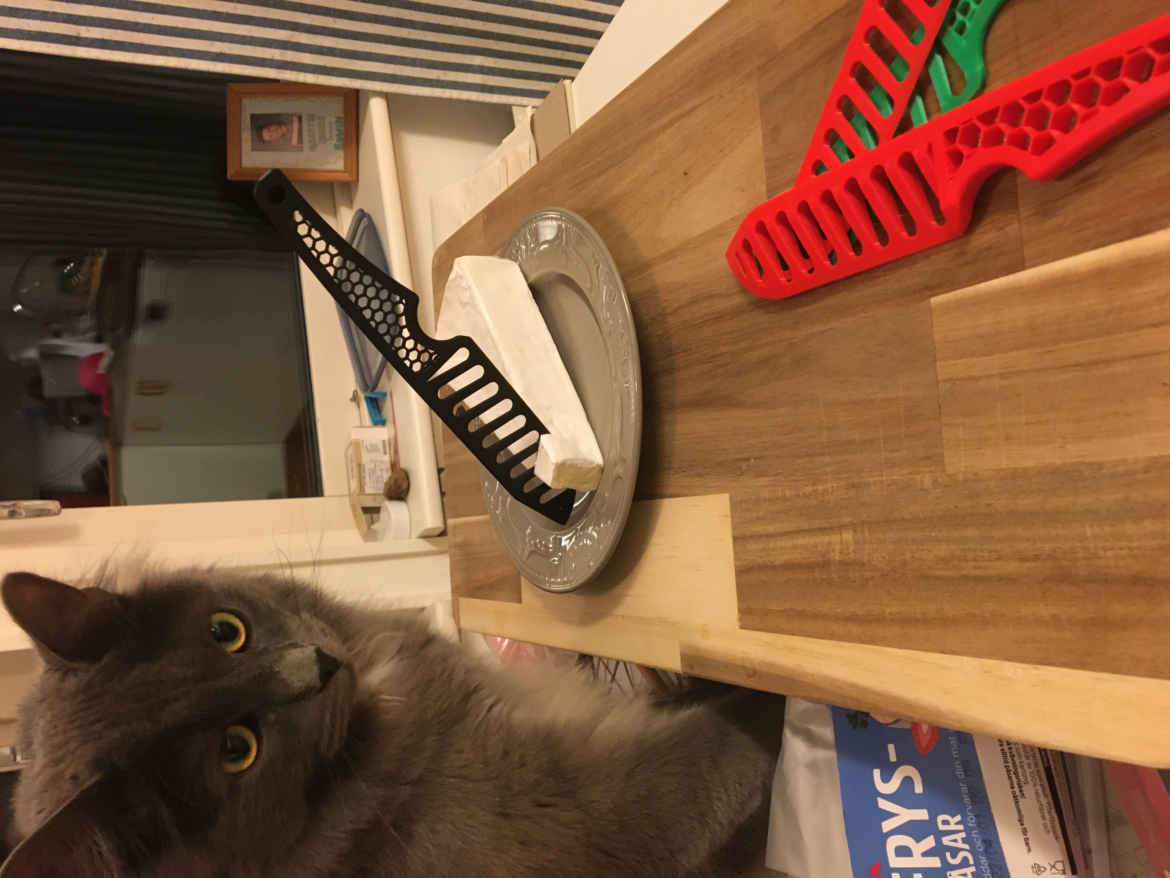 Dao Cắm Trại (Picnic Knife)