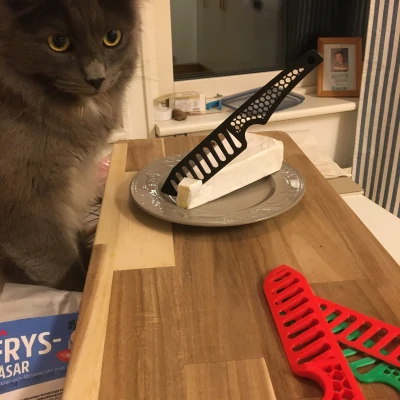 Dao Cắm Trại (Picnic Knife)