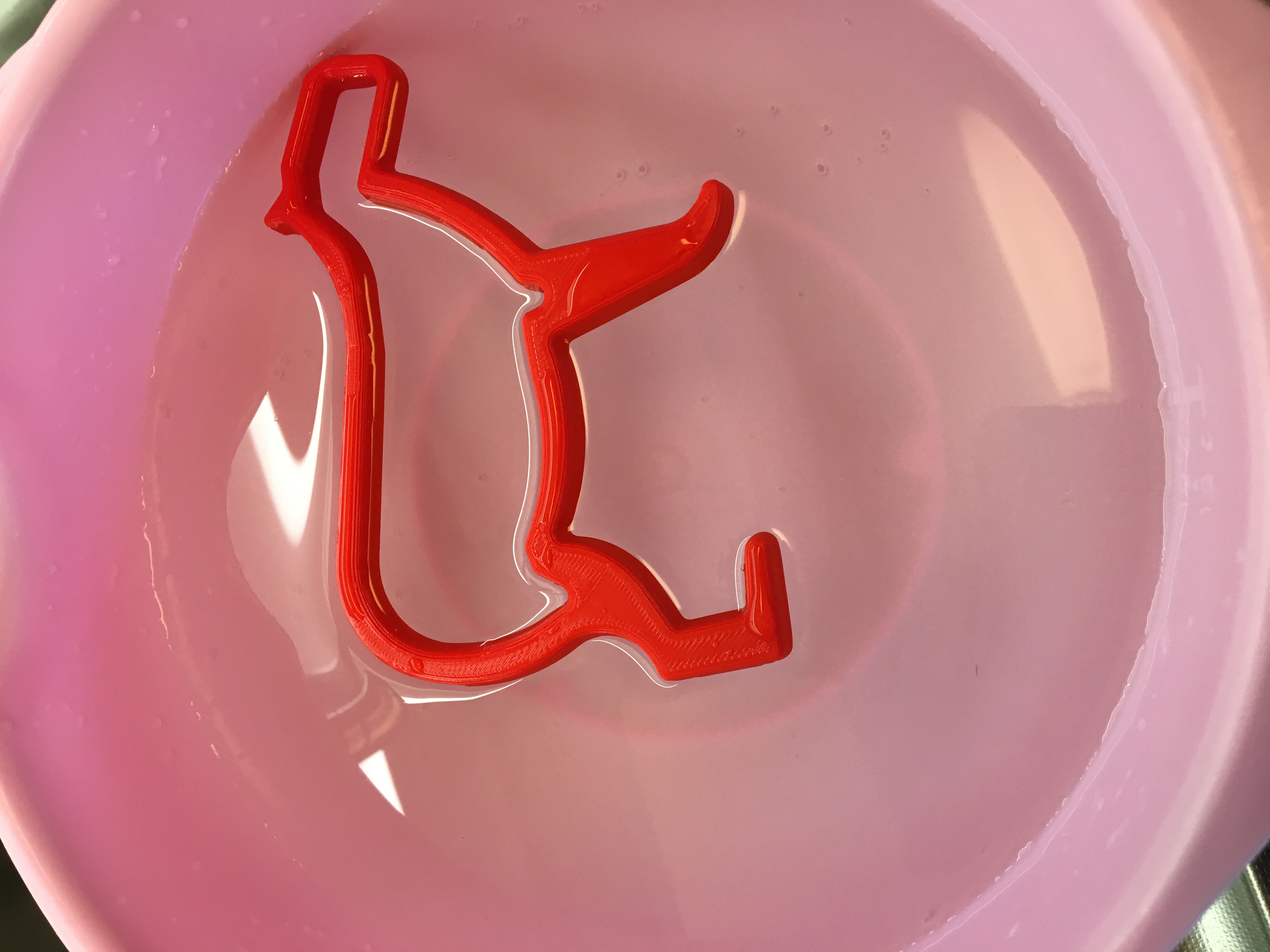 Cổng cá hình Capybara