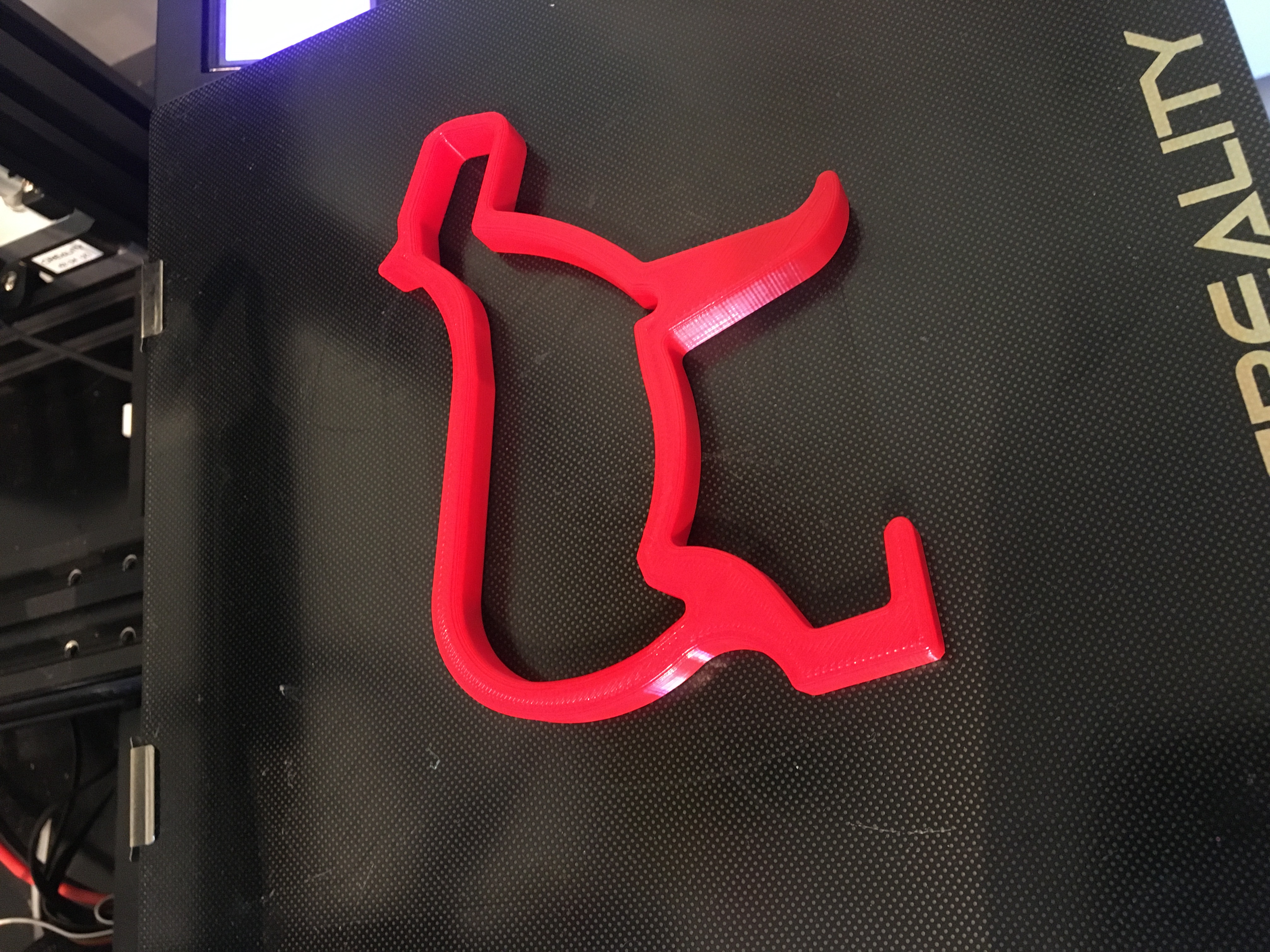 Cổng cá hình Capybara