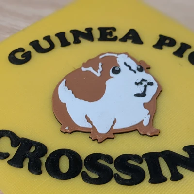 Biển Báo Lối Đi Qua Của Chuột Lang