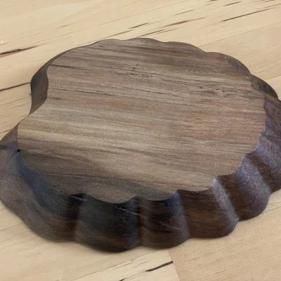 Tôservings hình lá Nothofagus gunnii (Sồi rụng lá)