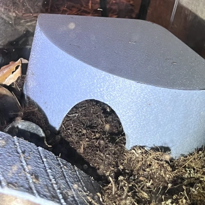 Chỗ trú cho ếch Bò cạp Phi châu con, hoặc bò sát/lưỡng cư nhỏ