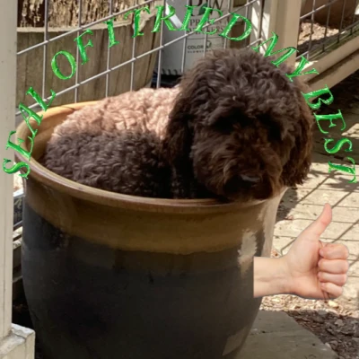 Chân đế ly nước cao