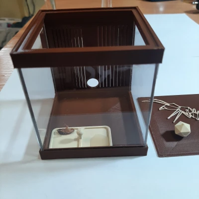 Sân chơi Formikarium cho kiến