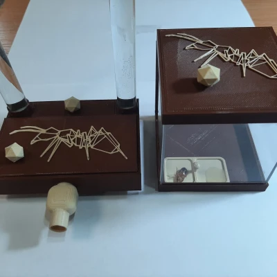 Sân chơi Formikarium cho kiến