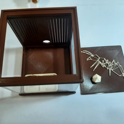 Sân chơi Formikarium cho kiến