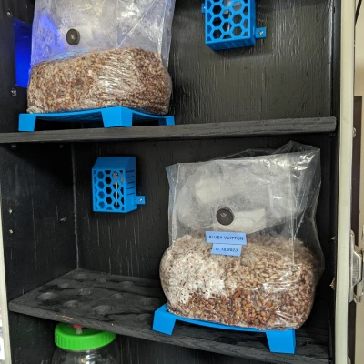 Chụp Cảm Biến Tiêm Chủng