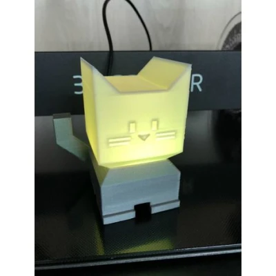 Mèo Chiếu Sáng - Illumination Cat