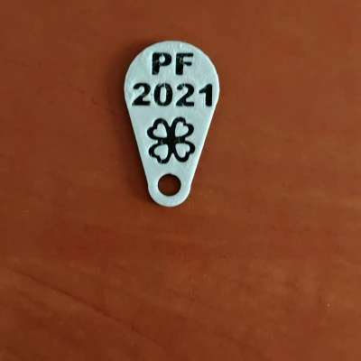 Móc Khóa Đồng Xu Xe Đẩy Hàng PF 2021