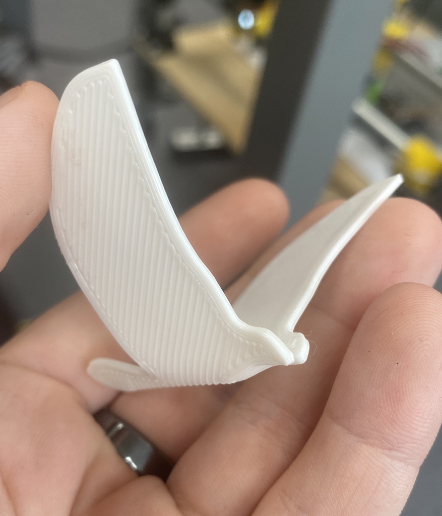 Chim Trời Gấp Gọn Từ Sky COTL