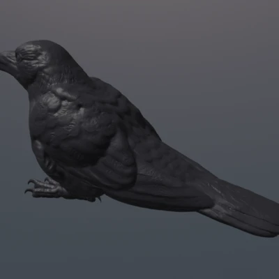 Tượng Quạ Ngồi