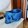 Vaso Teschio Skull Planter 3D Model - Thumbnail 1