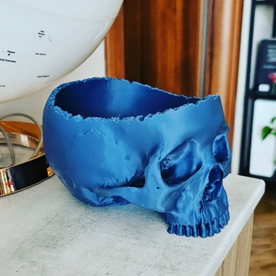 Vaso Teschio Skull Planter 3D Model