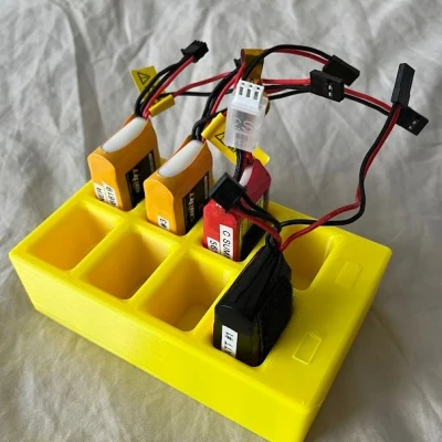 Giá Đỡ Pin Cho Pin LiFe 2S 850