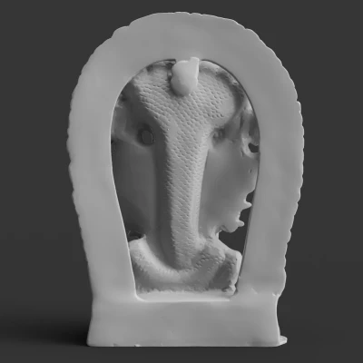 Hình dạng vạn vật của Vishnu