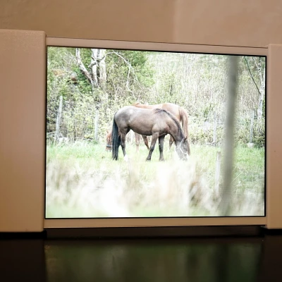 Chân đế/Khung ảnh cho Ipad mini/ mini 4