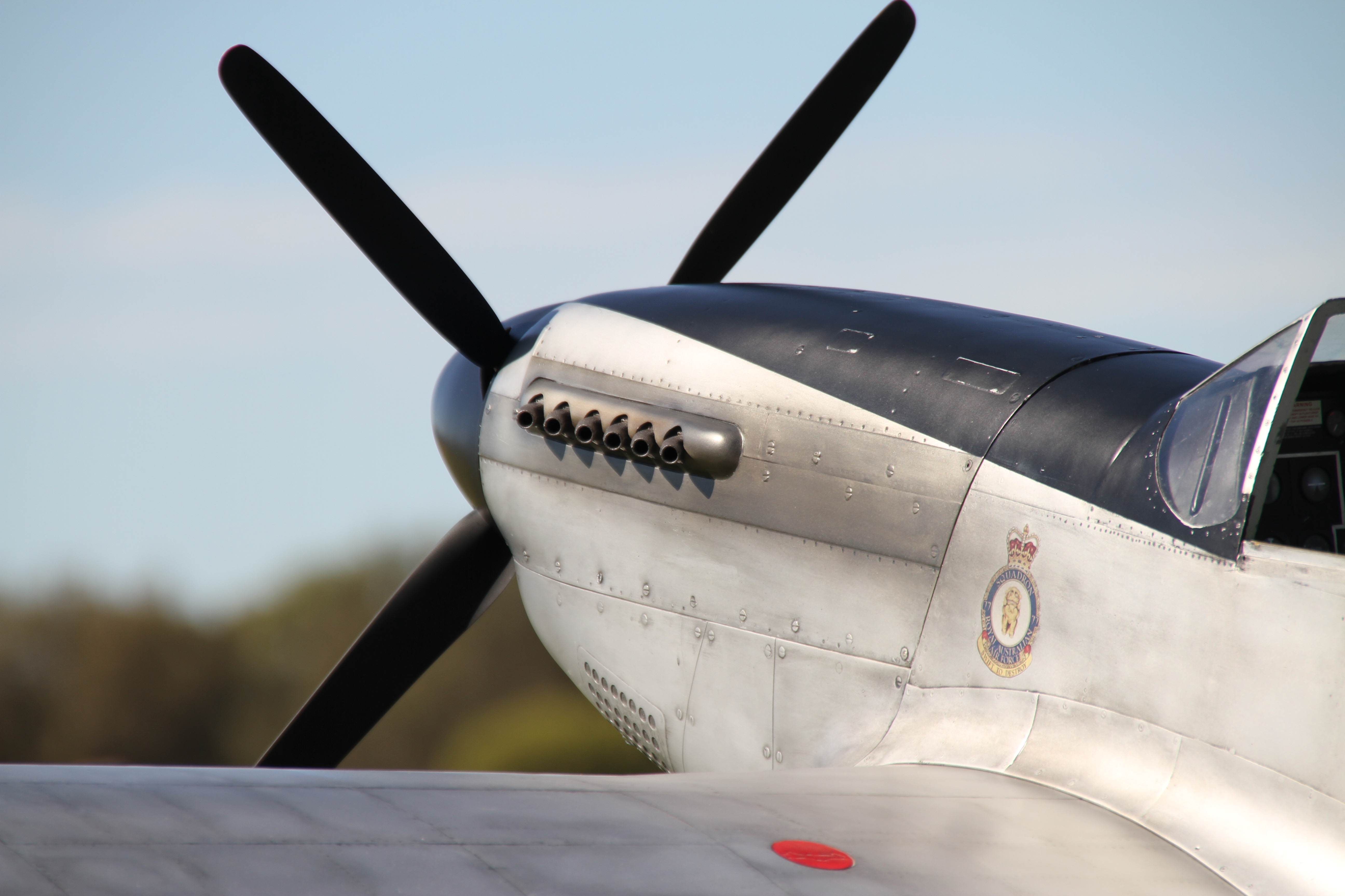 Ống Xả P51 Mustang Cho Mô Hình CARF P51