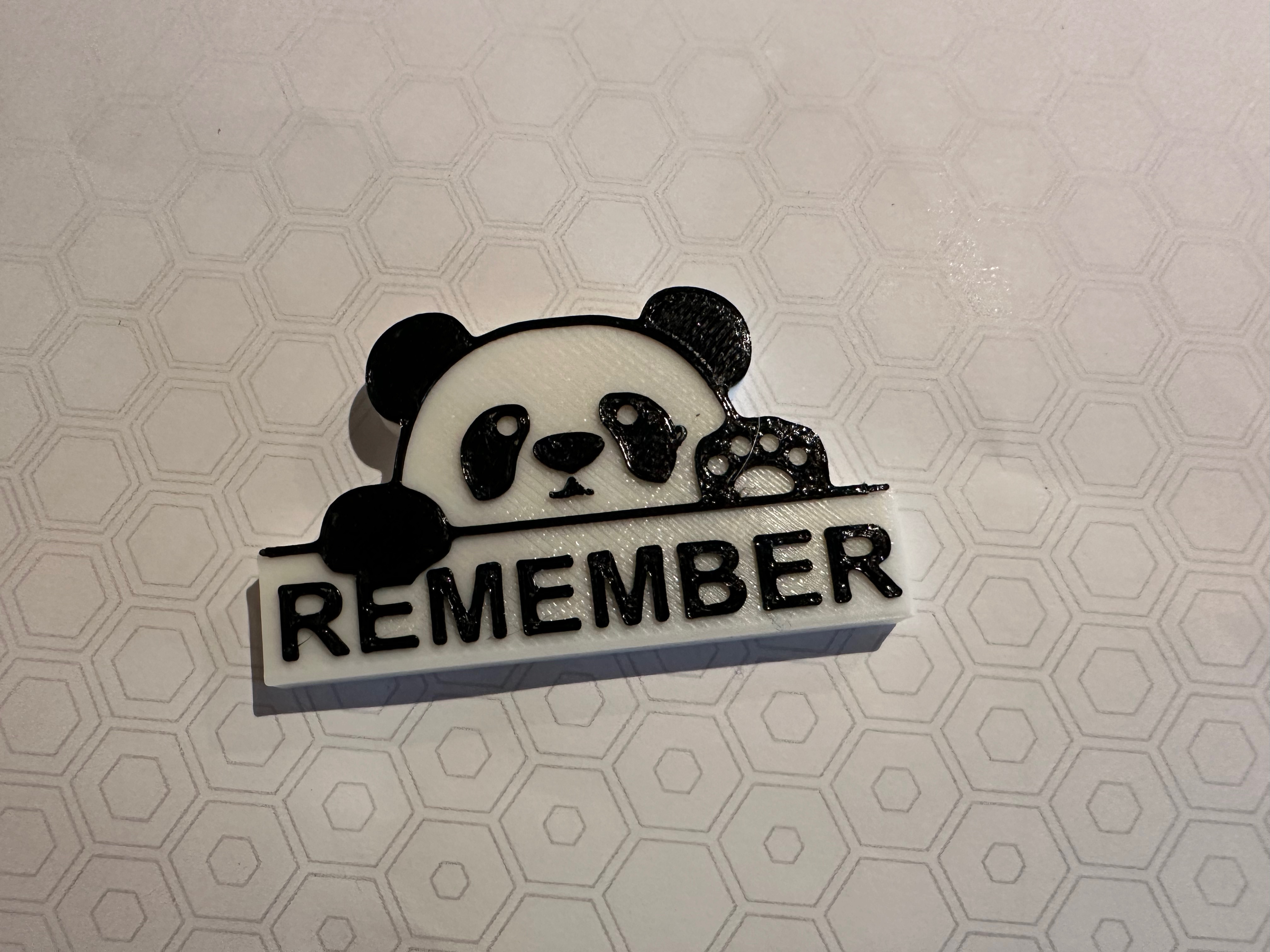 Gấu trúc Panda Nhớ Đời