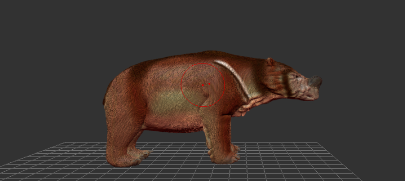 Lịch Vạn Niên số 22: Ambulator