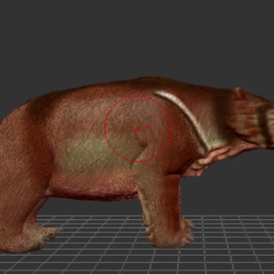 Lịch Vạn Niên số 22: Ambulator