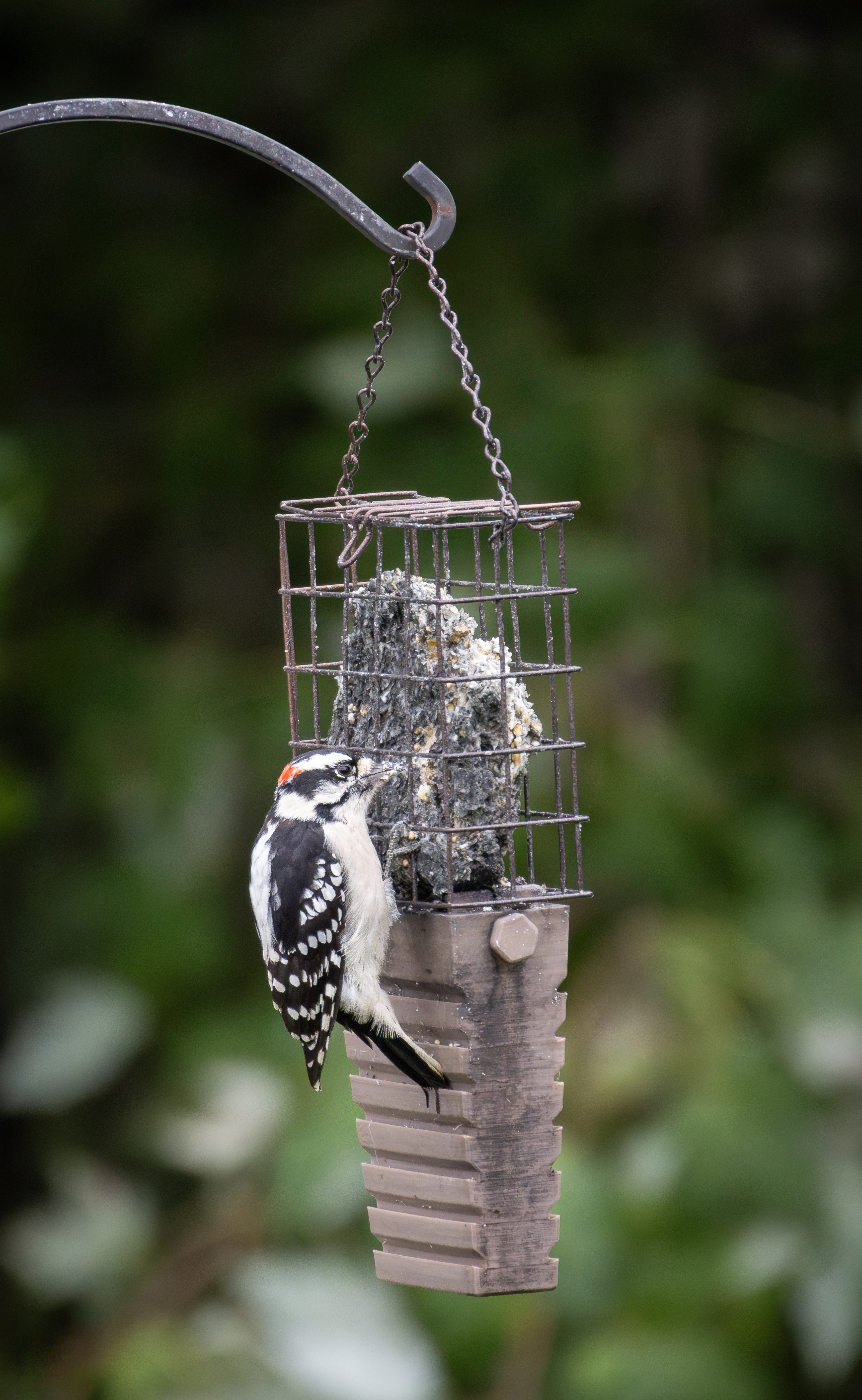 Nẹp Đuôi Cho Máng Mồi Khô