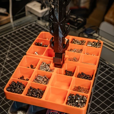 Susan Đứng Tự Do